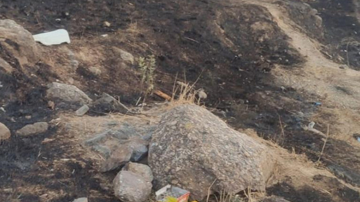 Maltepe'de havai fişek atarak yangın çıkaran zanlı tutuklandı