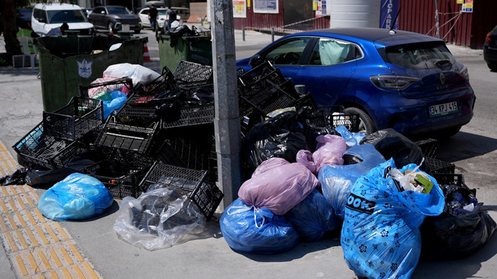 İzmir'de sinekler, böcekler, fareler cirit atıyor! Toplanmayan çöpler vatandaşı isyan ettirdi