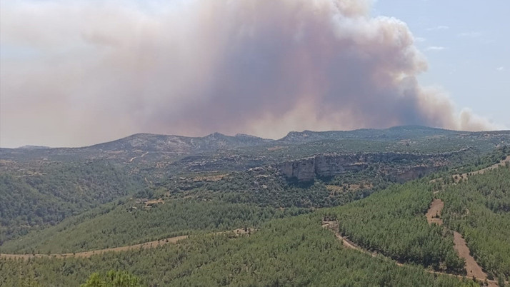 Mersin'de ormanlık alanda yangın çıktı
