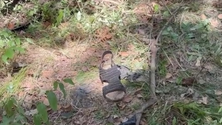 Şile yolunda feci kaza! Yelda öğretmen hayatını kaybetti