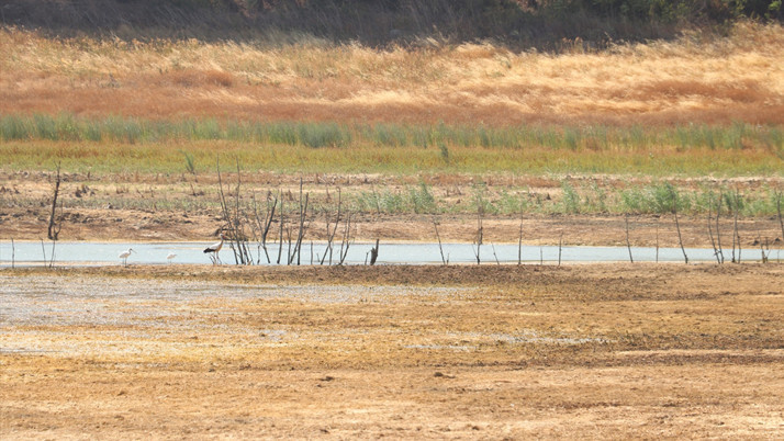Kriz kapıda! Çeşme'den sonra şimdi de Terkidağ'da durum fena