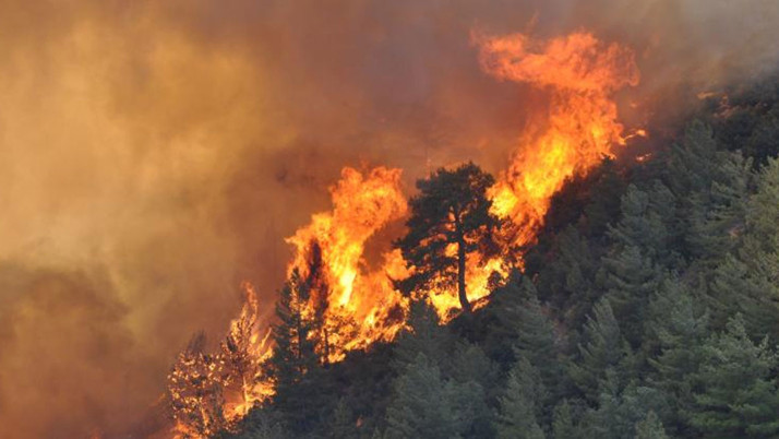 Mersin'de 2 ilçede yangınlar devam ediyor