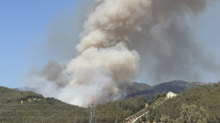 Osmaniye'de orman yangını çıktı! Yerleşim yerlerine çok yakın