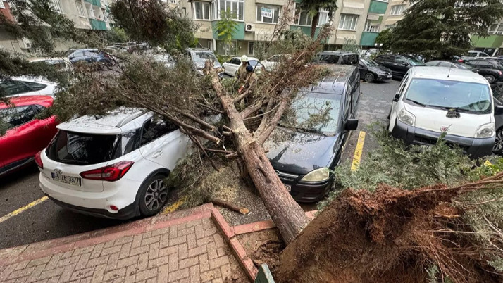 İstanbul'da fırtına ağaçları söktü! 2 kişi yaralandı, 2 araç hasar gördü...