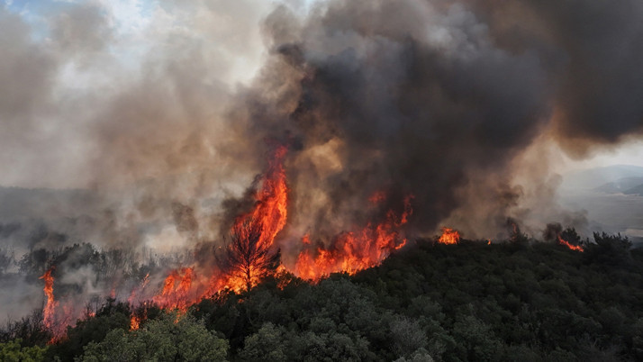 Balıkesir'deki orman yangını kontrol altına alındı