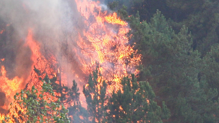 Bursa'da orman yangını çıktı
