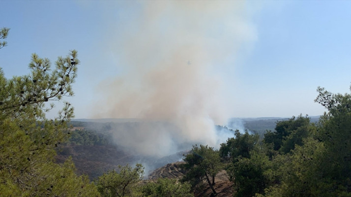 Adana'nın Sarıçam ilçesinde orman yangını! Müdahale ediliyor