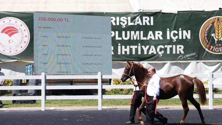 TİGEM, 58 tayın satışından 25 milyon lira gelir elde etti