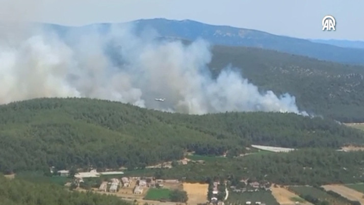 İzmir'de yine yangın çıktı! Tarım alanından ormana sıçradı