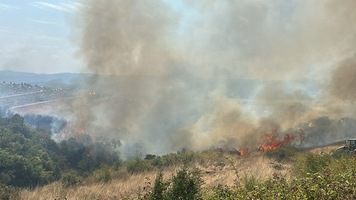Kocaeli'de yangın çıktı alevler rüzgarın etkisiyle yayıldı!