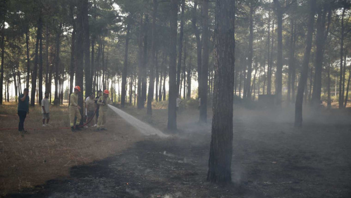 Fethiye’de orman yangını kısa sürede söndürüldü