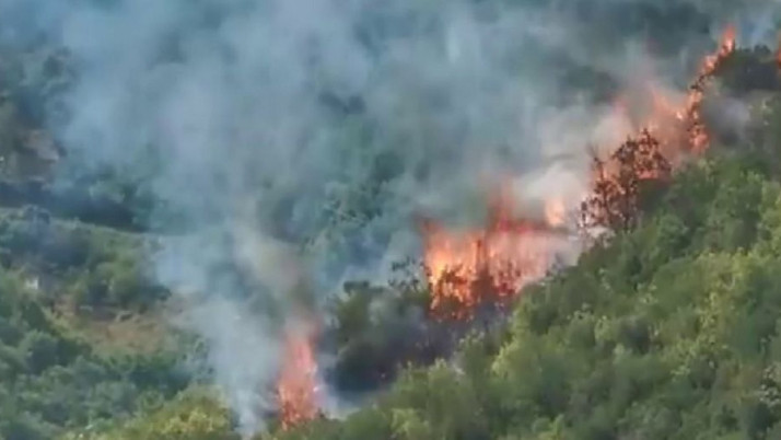 Sarıyer'de korku dolu anlar! Ormanlık alanda çıkan yangına müdahale ediliyor