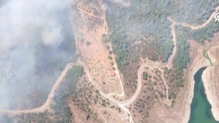 İzmir'de orman yangını çıktı!