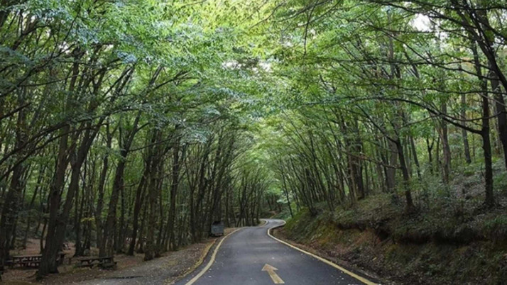 O ilimizde ormanlara giriş yasağı süresi uzatıldı