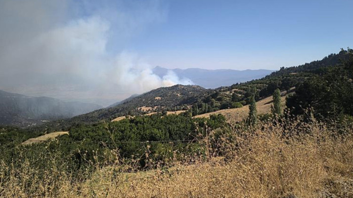 Denizli'de orman yangını çıktı