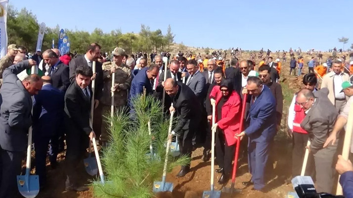 Suriye'de kayıplar için incir fidanları dikildi