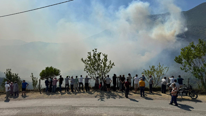 Bartın'da ormanlık alanda yangın! Validen açıklama
