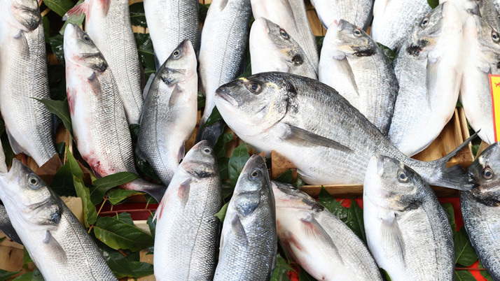 Balık sezonunun açılmasıyla tezgahlar doldu! Fiyatlar cep yakıyor