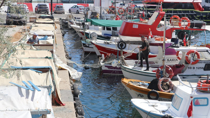 Av yasağı sona erdi! Tekirdağlı balıkçılar ilk ağlarını attı: Limana istavrit ve kolyozla döndü...