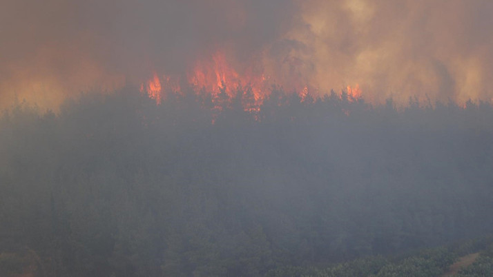 Bursa'da yangın çıktı! Dumandan göz gözü görmüyor