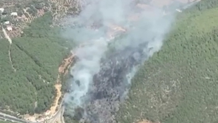 Bodrum'da orman yangını çıktı!