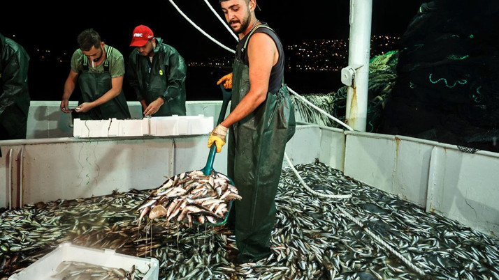 Türkiye balığa doyacak: Sofraların vitamin deposunda fiyatlar en dipte!