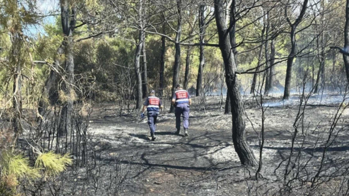 Çanakkale’deki orman yangını kontrol altına alındı