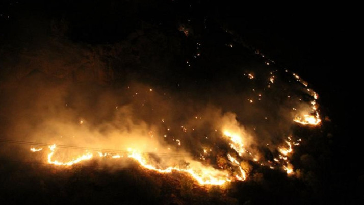 Hakkari'de ormanlık alanda çıkan yangına müdahale sürüyor