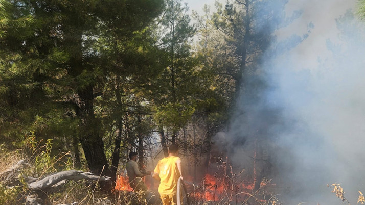 Denizli'de orman yangını çıktı!