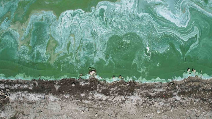 Terkos Gölü’nde yeşil tabaka ve köpük tedirginlik yarattı