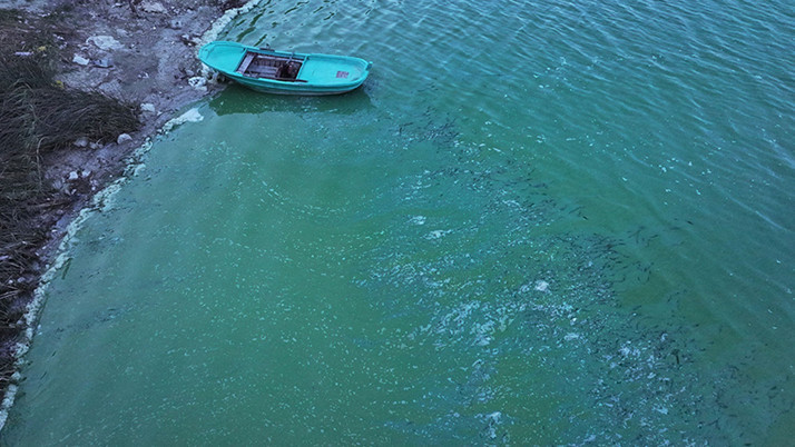 Terkos Barajı'nda suyun bazı bölümleri yeşile büründü