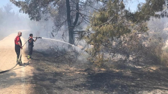 Adana'da orman yangını kontrol altında! Soğutma çalışmaları sürüyor...