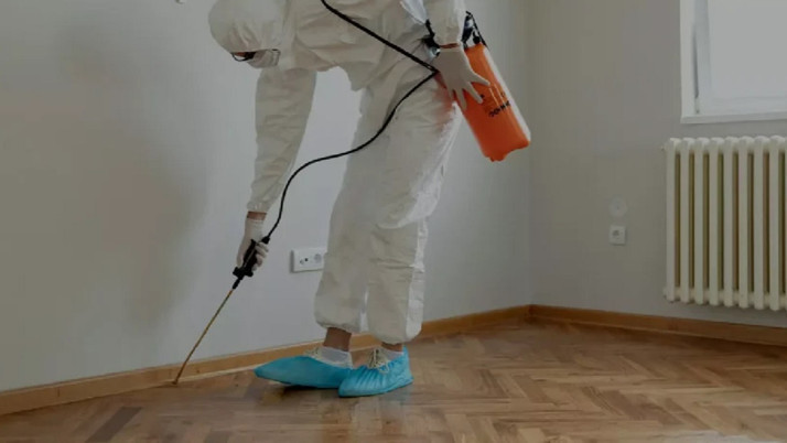 Örümcek kabusundan kurtulmak isteyenler dikkat!