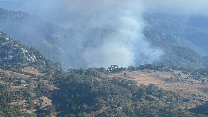 Muğla'nın Köyceğiz ilçesinde korkutan orman yangını