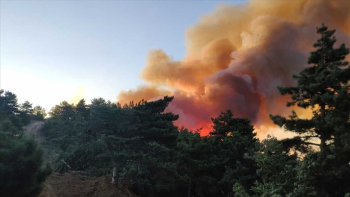 Adana'daki orman yangını kontrol altına alındı