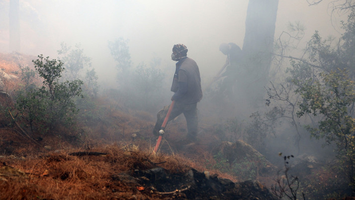 Bakan Yumaklı: Muğla ve Antalya'daki orman yangınları kontrol altında