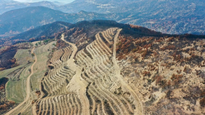 Denizli'de yangınlarda zarar gören alanlara 2 milyon 556 bin fidan dikilecek...