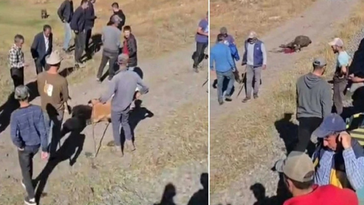 Kars'ta önlem alınmadı! Yük treninin çarptığı 5 büyükbaş hayvan telef oldu