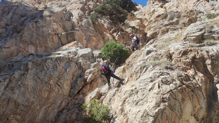 4 gündür haber yoktu! Ot toplamak için çıktığı dağda ölü bulundu