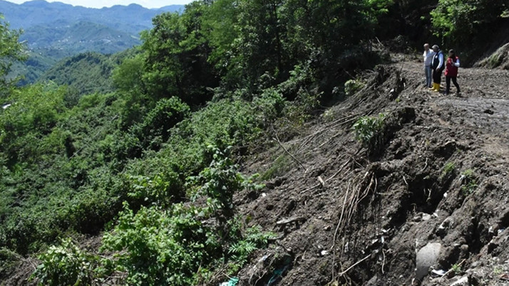 Giresun'da fındık bahçesinde yamaçtan yuvarlanan kadın öldü