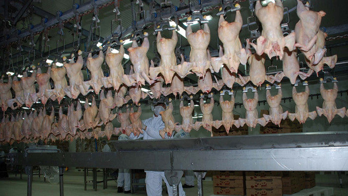 Rekabet Kurulundan Banvit'e dev para cezası