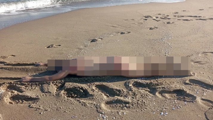 Sakarya'da bir kişi sahilde ölü bulundu