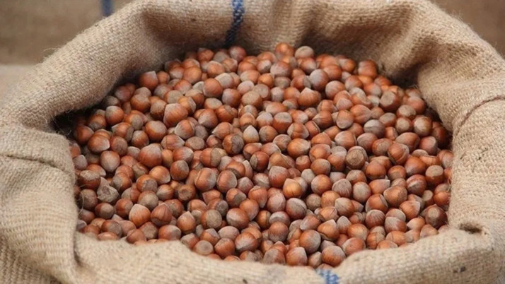 Türkiye fındık ihracatından 9 ayda 1,6 milyar doları aşkın gelir sağladı