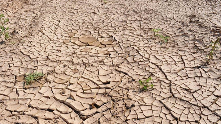 İstanbul'da son 65 yılın en kurak yazı yaşandı! Böyle giderse durum kötü