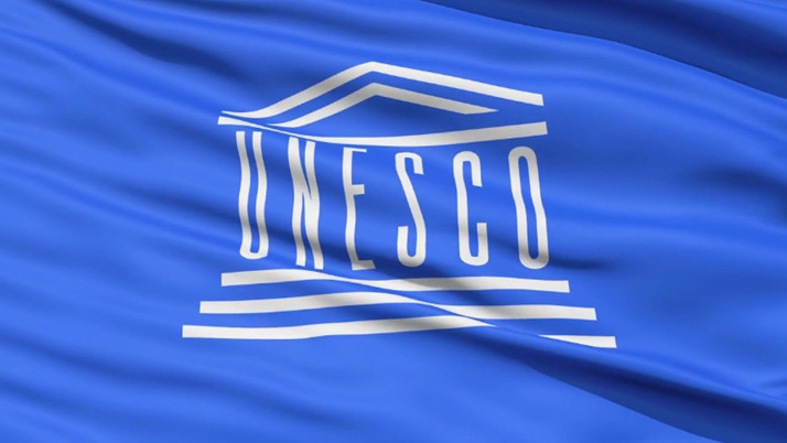 Zonguldak'ta üniversite öğrencisi UNESCO'nun kritik güvenlik açığını tespit etti