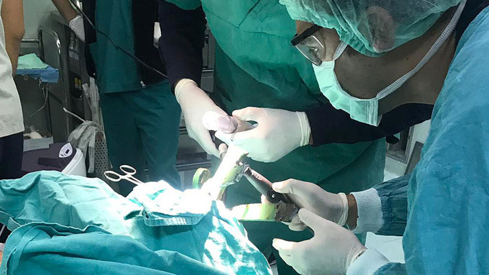 Mide küçültme ameliyatında ölüm! 7 şüpheli hakkında fezleke yenidoğan çetesi ayrıntısı