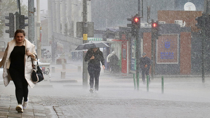 Bursa'da kuvvetli lodos! Ağaç otomobilin üzerine devrildi