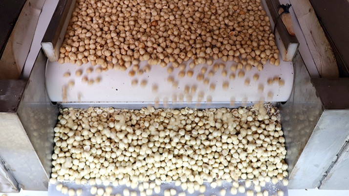 Ferrero Türkiye'den fındık alımını durdurdu Rekabet Kurumu'ndan açıklama