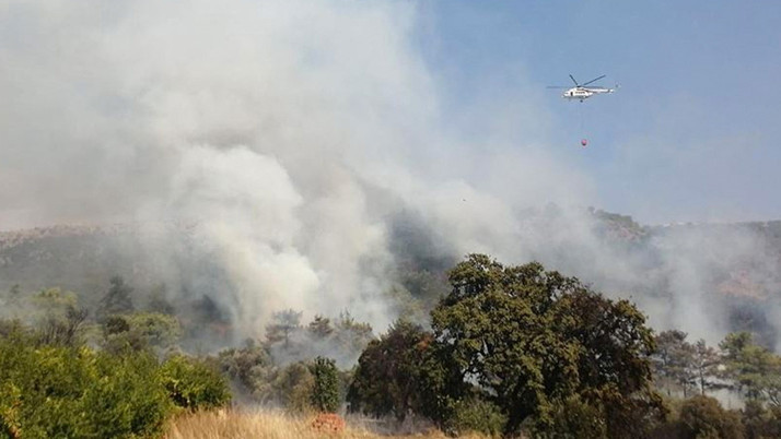 Kahramanmaraş'ta orman yangını çıktı!