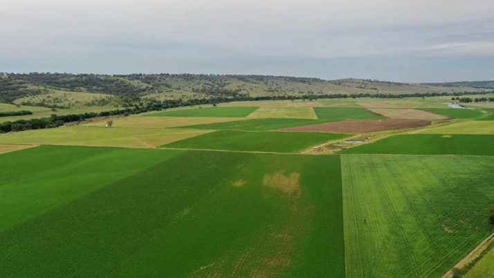 Arsa sahibi olanlar dikkat! İmarda kazancın yüzde 90'ını devlet alacak